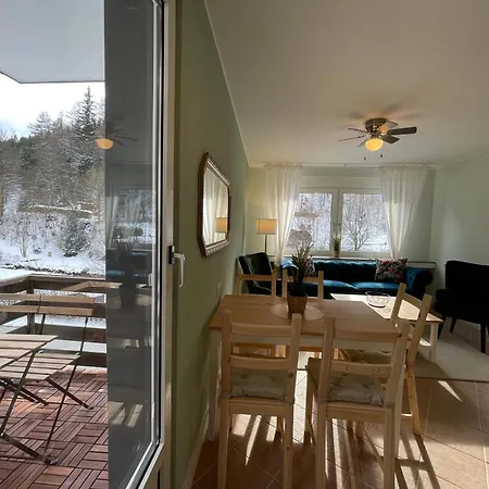 Appartement Rothaarglueck *