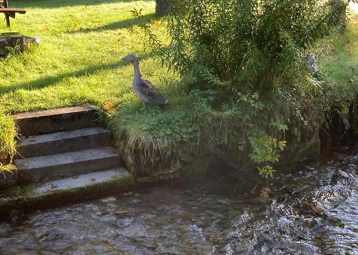 Lejlighed Rothaarglueck *