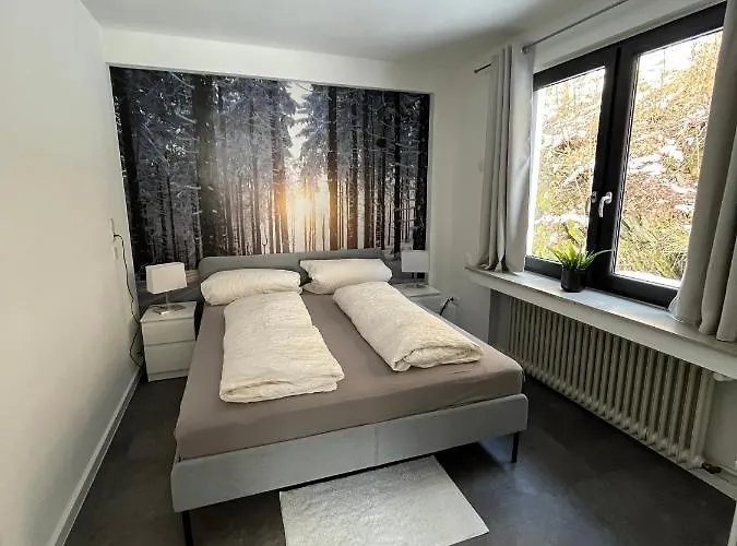 アパート Rothaarglueck *